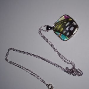 Butterfly Wing pendant on chain "Aloha Kissed" on back